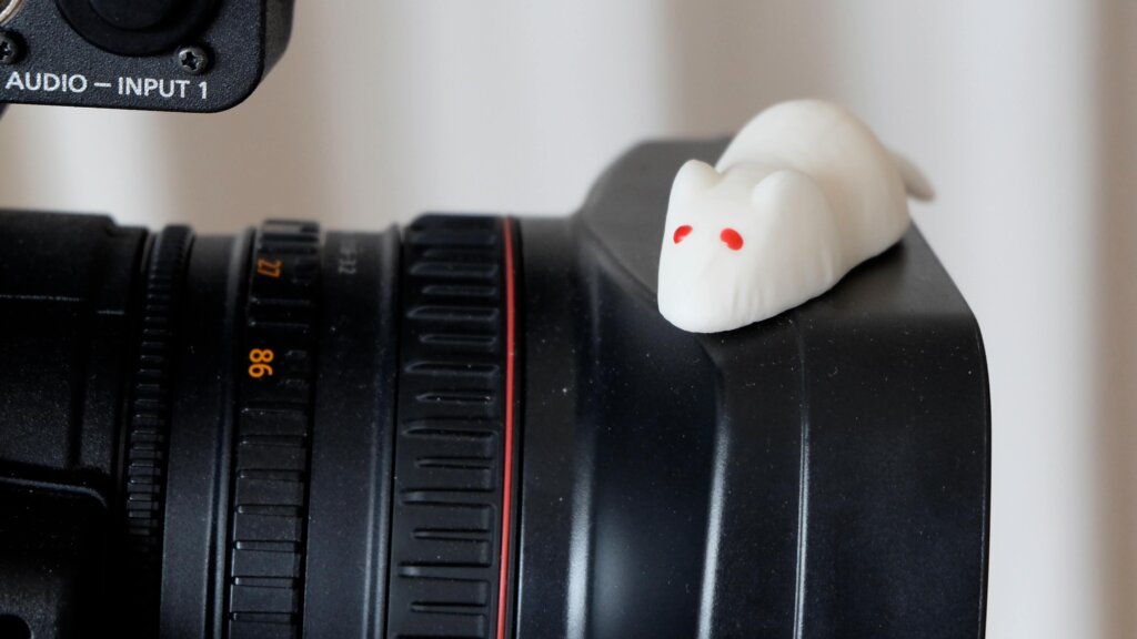 TV aus der Hosentasche Video Kurs